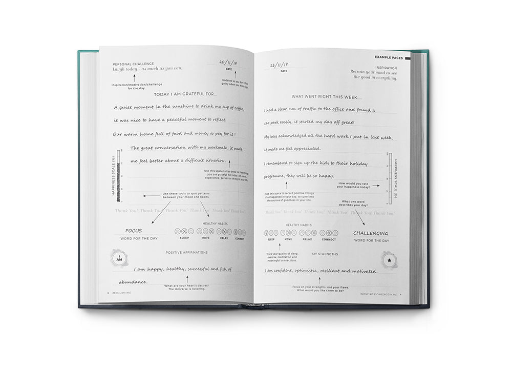 Resilient ME Gratitude Journal (17+)