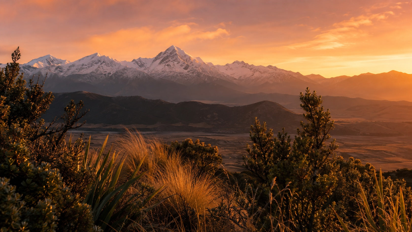 New Zealand coastline